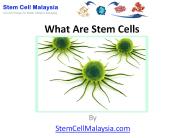 Stem Cells