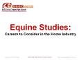 Equine Studies:  Careers to Consider in the Horse Industry PowerPoint PPT Presentation