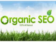 Dedicated Blog Creation Services