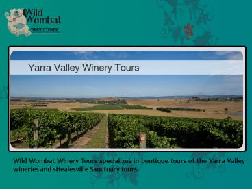 Wild Wombat Winery Tours