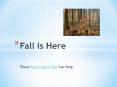Fall is Here – Pest Control Tips That Can Help PowerPoint PPT Presentation