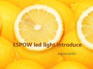 led flood light
