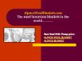 Alpaca Blanket, Alpaca Wool Blanket PowerPoint PPT Presentation