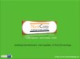 Non Woven Bags PowerPoint PPT Presentation