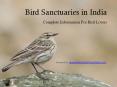 Bird Sanctuaries in India, Birds Found and Other Useful Information PowerPoint PPT Presentation