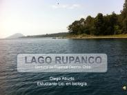 Lago Rupanco