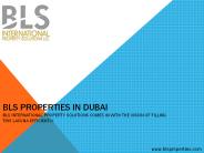 BLS Properties In Dubai