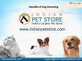 Benefits of Dog Grooming