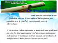 pointeur laser vert 200mW PowerPoint PPT Presentation