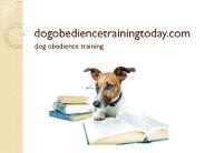 dog obedience training