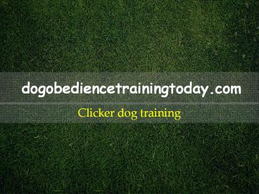 clicker dog training