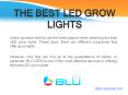LED Grow Lights PowerPoint PPT Presentation