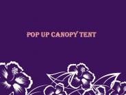 A pop up canopy Tent