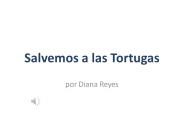 Salvemos a las Tortugas