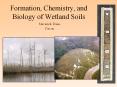 Formation, Chemistry, and Biology of Wetland Soils PowerPoint PPT Presentation