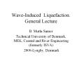 Wave-Induced Liquefaction. General Lecture B. Mutlu Sumer PowerPoint PPT Presentation