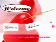 Data Recovery Services