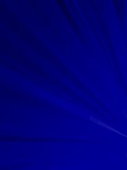 Muscular Control of Movement