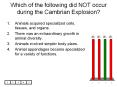 Which of the following did NOT occur during the Cambrian Explosion? PowerPoint PPT Presentation