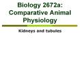 Biology 2672a: Comparative Animal Physiology PowerPoint PPT Presentation
