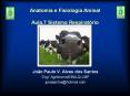 Anatomia e Fisiologia Animal Aula.7 Sistema Respiratуrio PowerPoint PPT Presentation