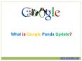 What is google Panda Update PowerPoint PPT Presentation