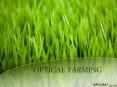 Optical Farming PowerPoint PPT Presentation