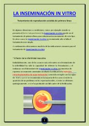 Inseminación in vitro