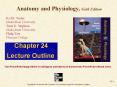 Anatomy and Physiology by Rod R Seeley 6th edition chapter 24 power-point PowerPoint PPT Presentation