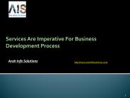 Services Are Imperative For Business Development Process