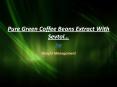 Pure Green Coffee Beans Extract With Sevtol for Weight Menagement in Covina/CA-91723 PowerPoint PPT Presentation