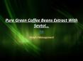 Perfect combination of Sevtol and Pure Green Coffee Beans Extract PowerPoint PPT Presentation