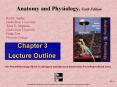 Anatomy and Physiology by Rod R Seeley 6th edition Chapter 3 PowerPoint PPT Presentation