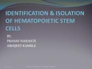 Hematopoetic stem cells