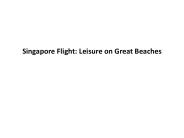 Singapore Flight: Leisure on Great Beaches