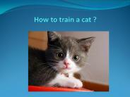 how to train acat