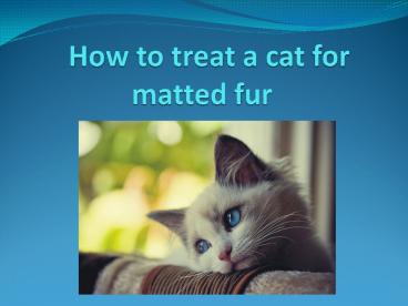How to treat acat for matted