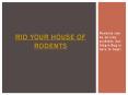 Rid Your House of Rodents: Rodents can be an icky problem, but Slug-a-Bug is here to help! PowerPoint PPT Presentation