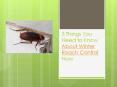 3 Things You Need to Know About Winter Roach Control Now PowerPoint PPT Presentation