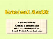 Internal Audit