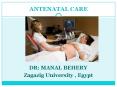 Antenatal care for undergraduate PowerPoint PPT Presentation