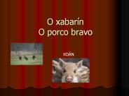 O xabarín