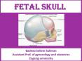 FETAL Skull for undergraduate PowerPoint PPT Presentation