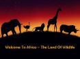 Welcome To Africa – The Land Of Wildlife PowerPoint PPT Presentation