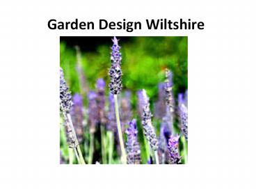 Know More About Garden Design Wiltshire