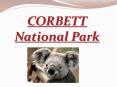 Corbett National Park PowerPoint PPT Presentation