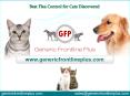 Best Flea Control for Cats Discovered PowerPoint PPT Presentation