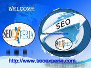 SEO Services