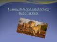 Luxury Hotels in Jim Corbett National Park PowerPoint PPT Presentation