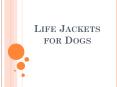 Life Jackets for Pets PowerPoint PPT Presentation